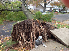 After Superstorm Sandy